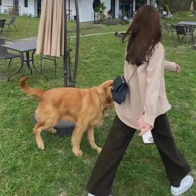 晚风长河·重逢